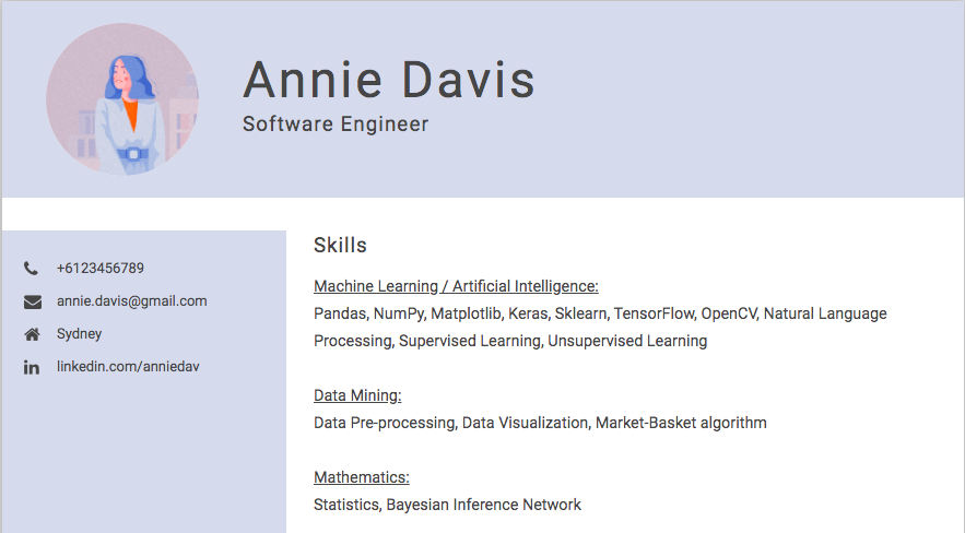 Software engineer skills described in CV